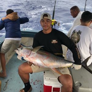 Meet your Posher, Collin